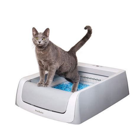 self cleaning litter box for cats